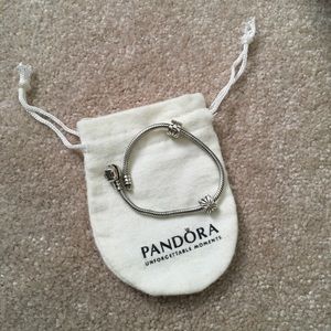 Pandora Snake Bracelet